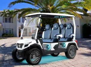 Evolution DMax GT4 Golf Cart Tidewater Carts